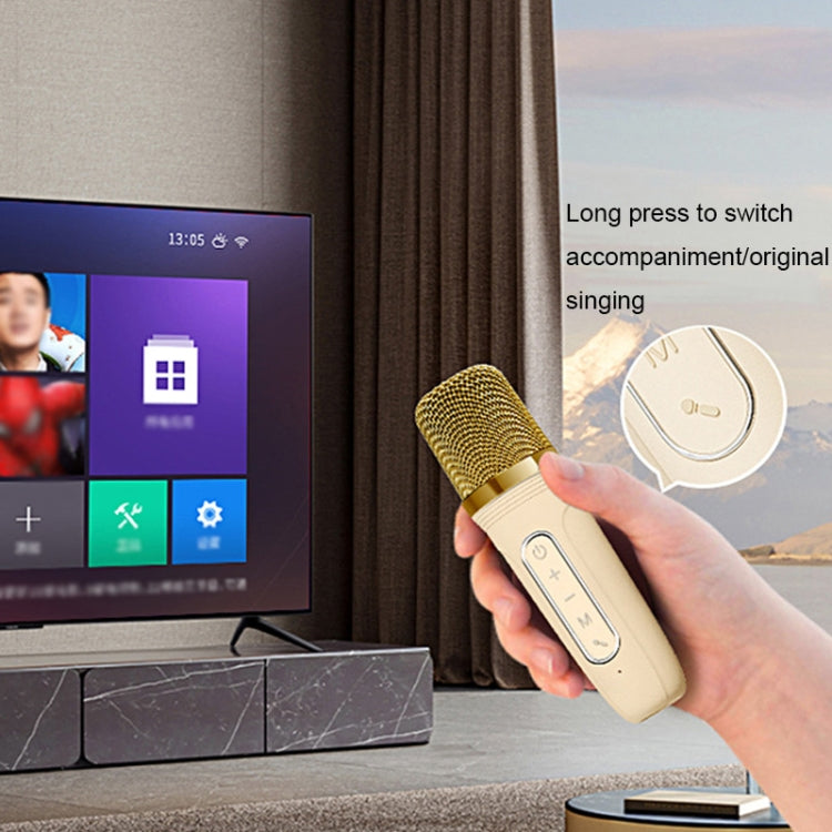 Set microfono altoparlante wireless Bluetooth portatile Havit P1 per canto domestico, Single-microphone, Dual-microphone