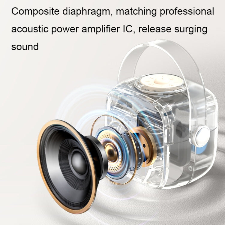 Set microfono altoparlante wireless Bluetooth portatile Havit P1 per canto domestico, Single-microphone, Dual-microphone