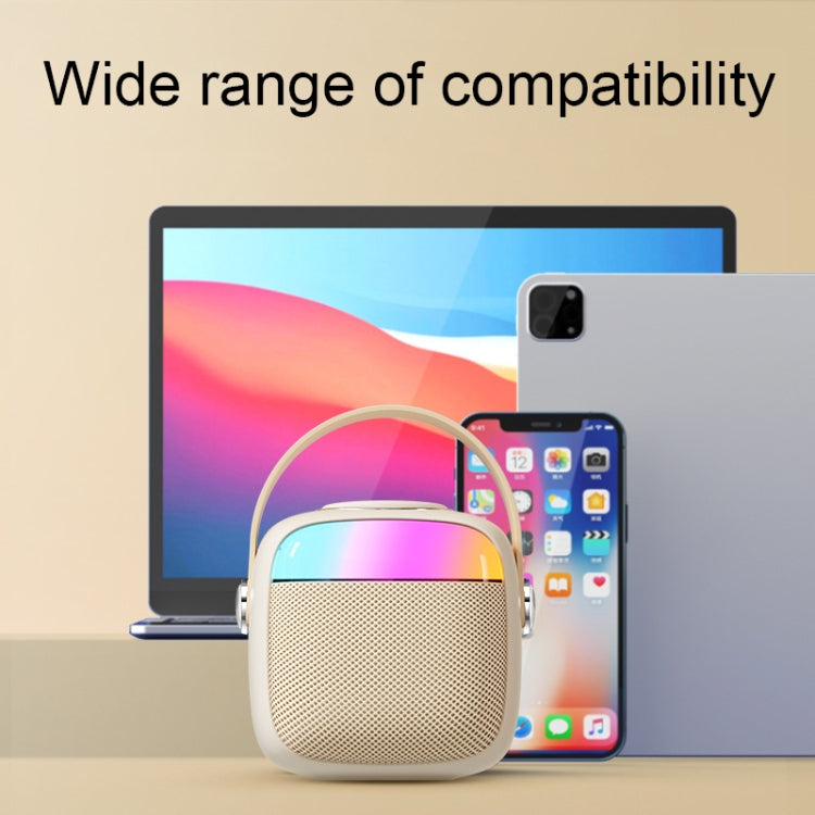 Set microfono altoparlante wireless Bluetooth portatile Havit P1 per canto domestico, Single-microphone, Dual-microphone