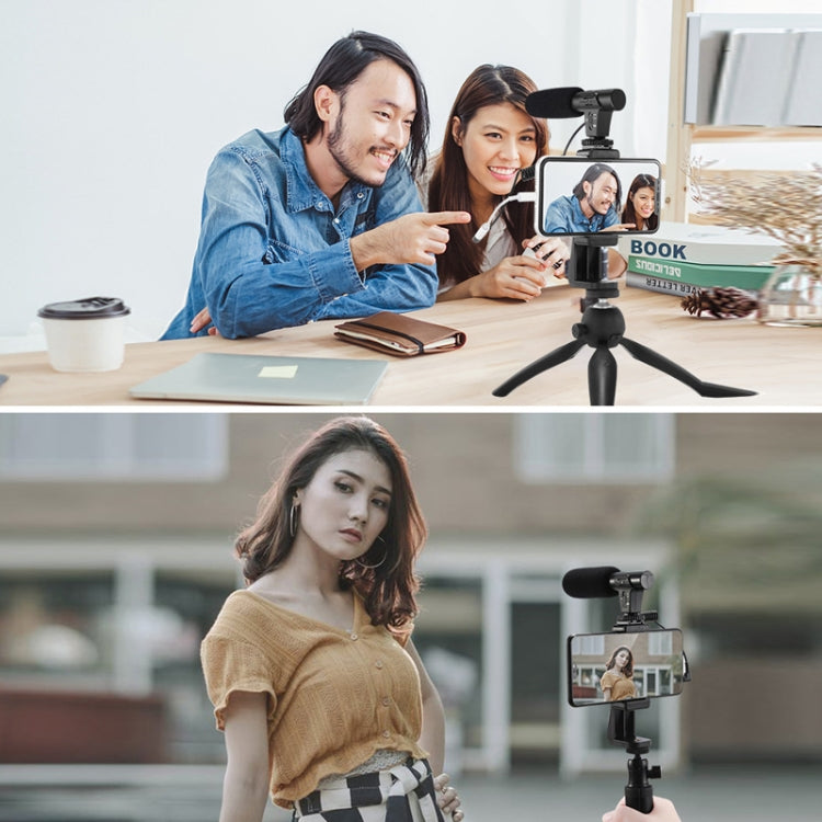 Registrazione video Microfono per registrazione di conferenze mobili con fotocamera dal vivo