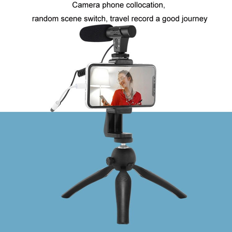 Registrazione video Microfono per registrazione di conferenze mobili con fotocamera dal vivo