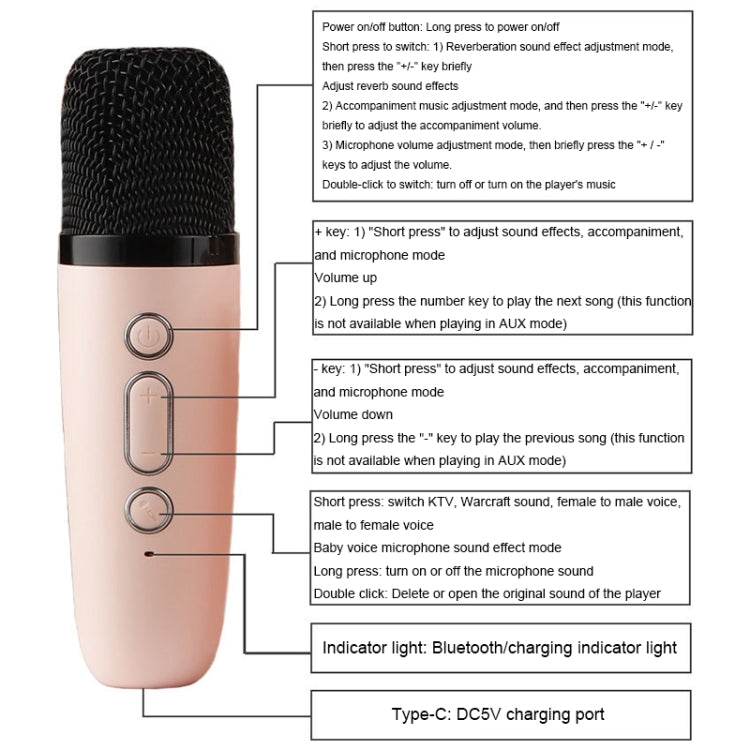 Altoparlante Bluetooth portatile con effetti di illuminazione RGB Mini Karaoke Audio domestico, Speaker, Single Microphone+Speaker, Dual Microphone+Speaker