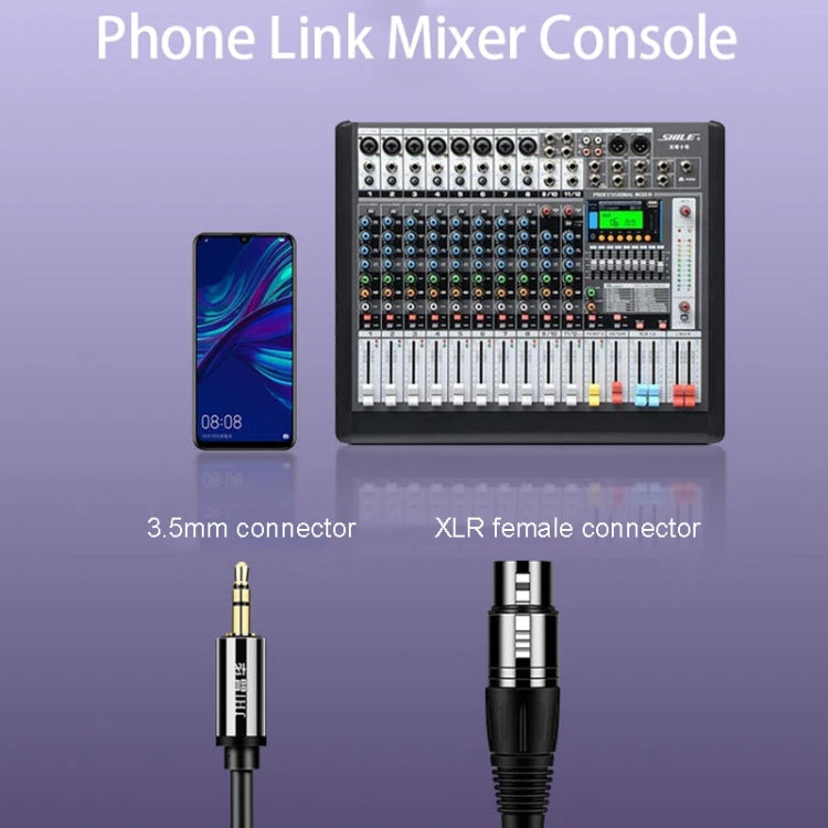 Cavo audio per microfono JINGHUA da 3,5 mm maschio a XLR femmina, 1.5m, 3m, 5m, 10m