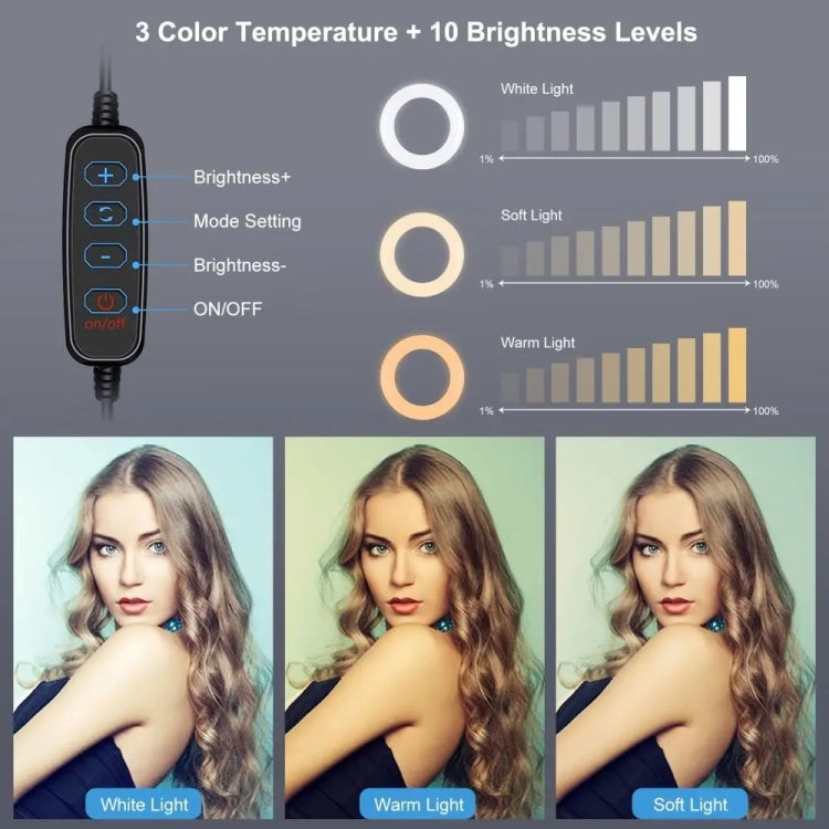 Supporto per streaming live per telefono cellulare da tavolo con piastra rotonda Supporto portatile per selfie con luce di riempimento da 6 pollici, Double-machine Position
