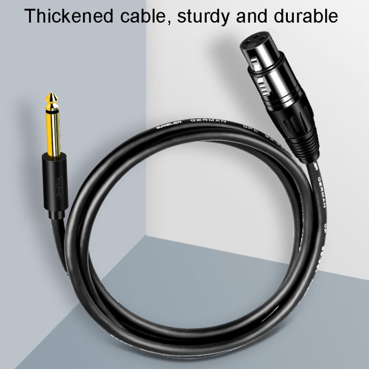 Cavo audio XLR JINGHUA 6.5 maschio-femmina 6.35 Mixer microfonico bilanciato a tre core, 1.5m, 3m, 5m, 10m
