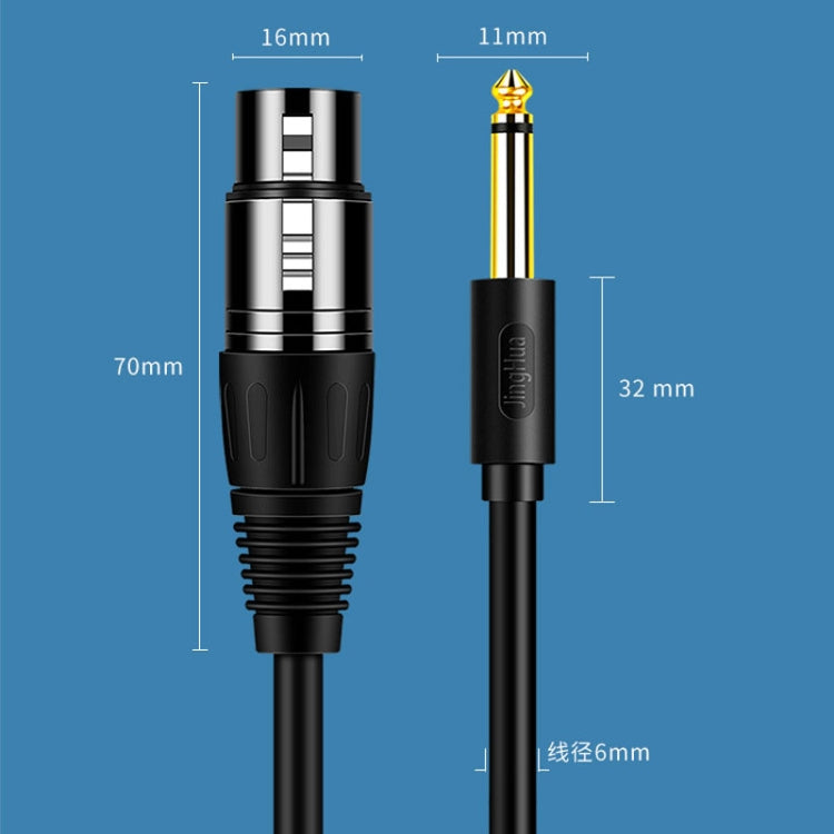 Cavo audio XLR JINGHUA 6.5 maschio-femmina 6.35 Mixer microfonico bilanciato a tre core, 1.5m, 3m, 5m, 10m