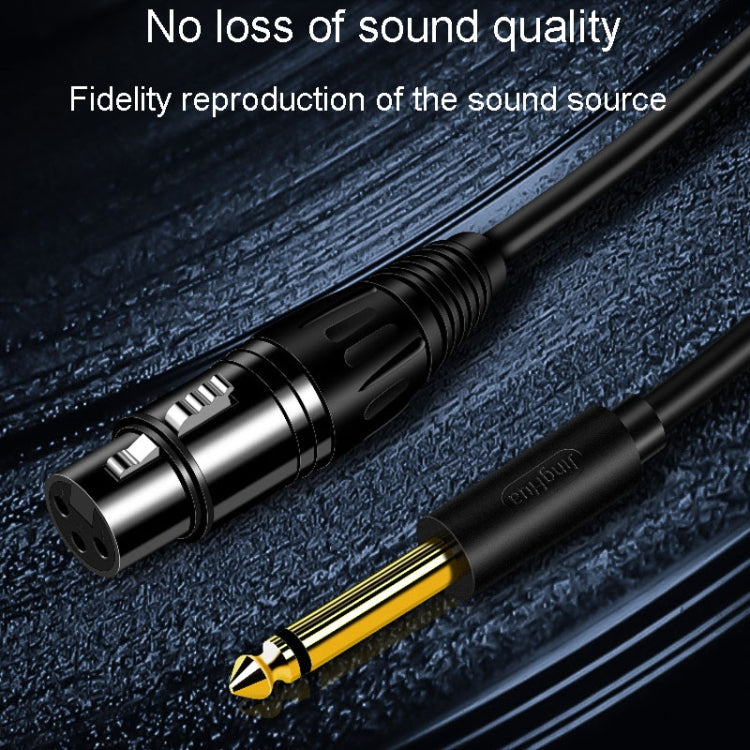 Cavo audio XLR JINGHUA 6.5 maschio-femmina 6.35 Mixer microfonico bilanciato a tre core, 1.5m, 3m, 5m, 10m