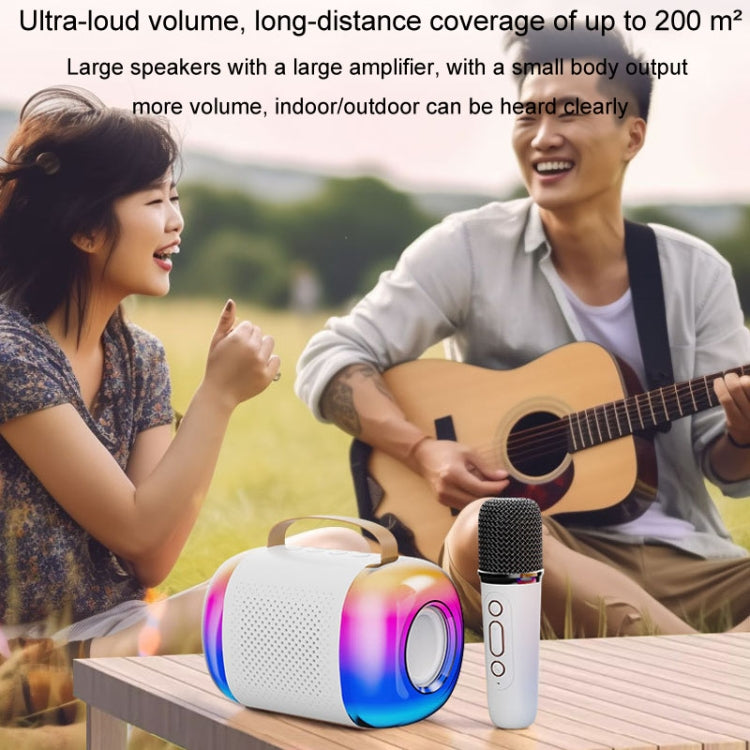 Altoparlante Bluetooth portatile Audio karaoke wireless per casa ed esterno, Y5 1 Microphone, Y5 2 Microphone