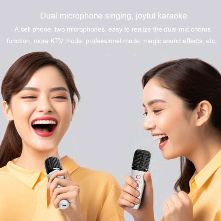 Altoparlante Bluetooth portatile Audio karaoke wireless per casa ed esterno, Y5 1 Microphone, Y5 2 Microphone