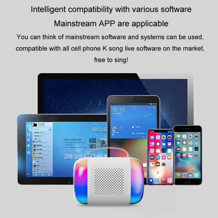 Altoparlante Bluetooth portatile Audio karaoke wireless per casa ed esterno, Y5 1 Microphone, Y5 2 Microphone