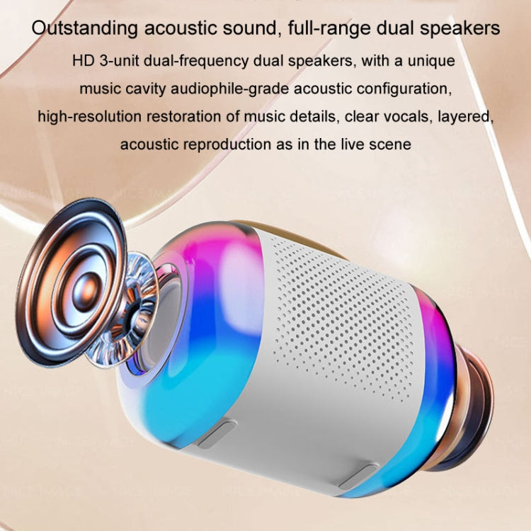 Altoparlante Bluetooth portatile Audio karaoke wireless per casa ed esterno, Y5 1 Microphone, Y5 2 Microphone