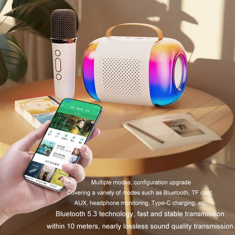 Altoparlante Bluetooth portatile Audio karaoke wireless per casa ed esterno, Y5 1 Microphone, Y5 2 Microphone