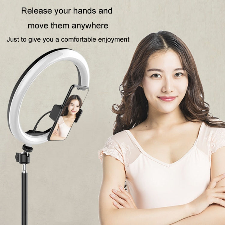 Live Beauty Ring Light Clip per telefono Teste rotanti a 360° Supporto per fascetta stringitubo, 360 Rotating Heads Hose Clamp Stand