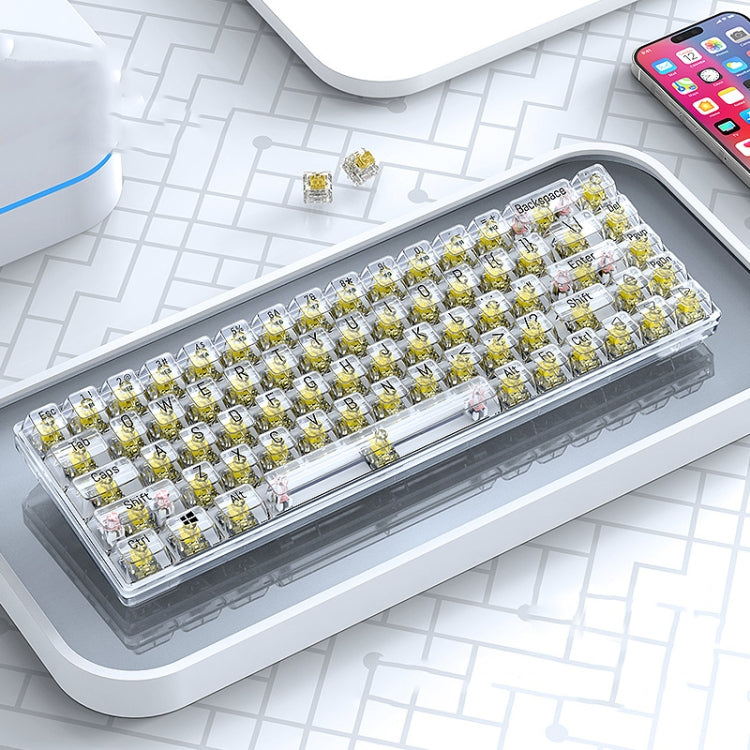 T-WOLF T40 Tastiera meccanica trasparente da gioco per ufficio a luce mista RGB a 68 tasti