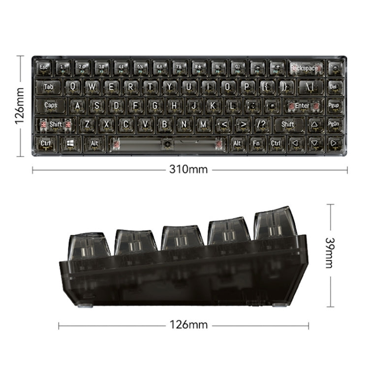T-WOLF T40 Tastiera meccanica trasparente da gioco per ufficio a luce mista RGB a 68 tasti