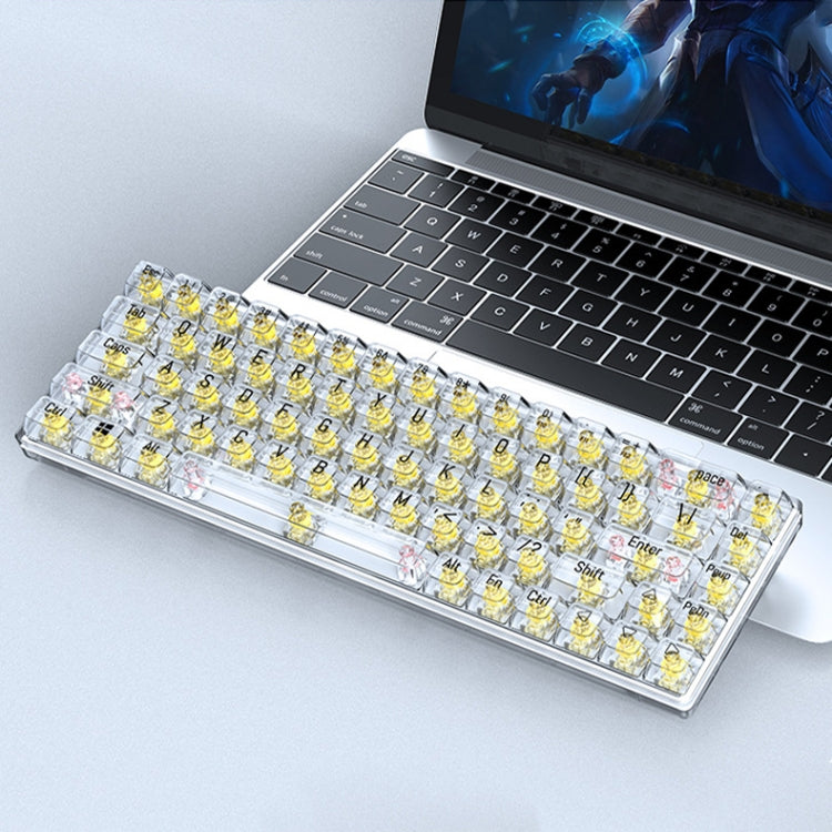 T-WOLF T40 Tastiera meccanica trasparente da gioco per ufficio a luce mista RGB a 68 tasti