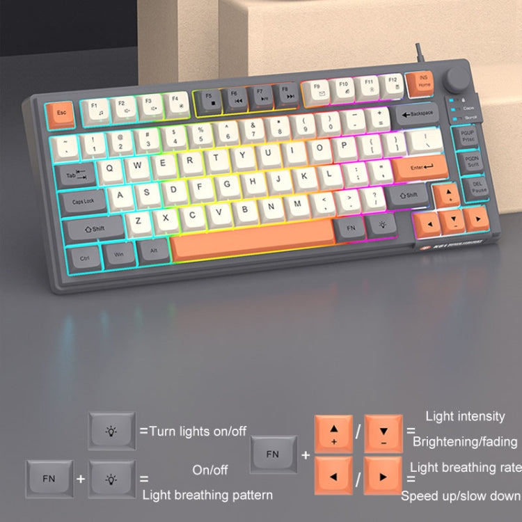 XUNSVFOX K81 Tastiera illuminata cablata per ufficio da gioco per laptop