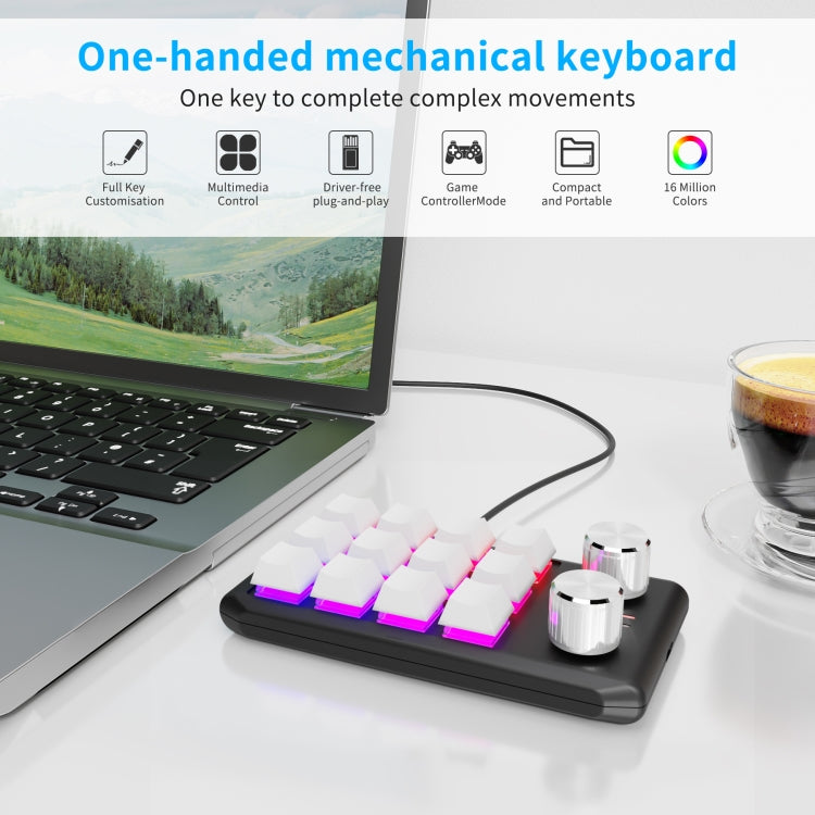 12 tasti cablati con luci RGB Tasti di scelta rapida per tastiera da ufficio personalizzati Controllo del volume audio del computer, 12 Keys+2 Knobs