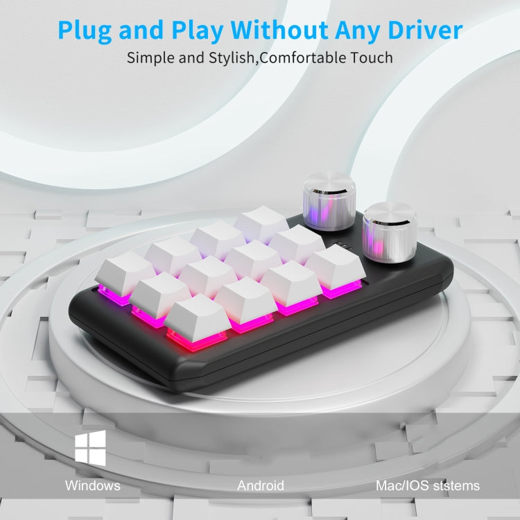 12 tasti cablati con luci RGB Tasti di scelta rapida per tastiera da ufficio personalizzati Controllo del volume audio del computer, 12 Keys+2 Knobs