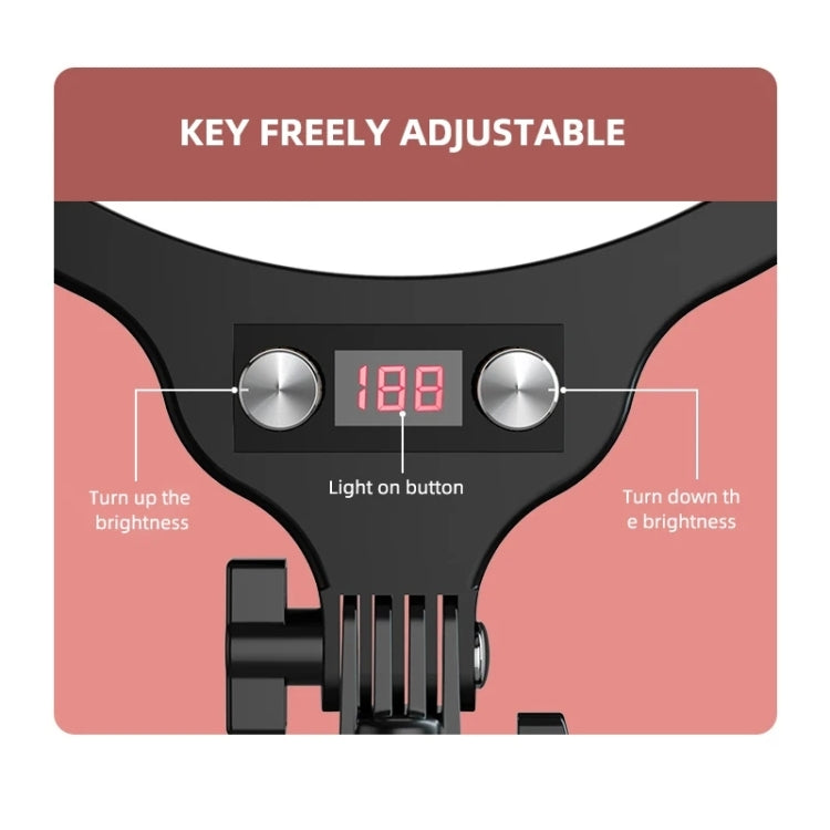 Set di treppiedi per selfie ad anello luminoso a schermo intero da 12,6 pollici per streaming live, 55cm Bracket, 55cm Overhead Shot, 210cm Bracket, 210cm Overhead Shot