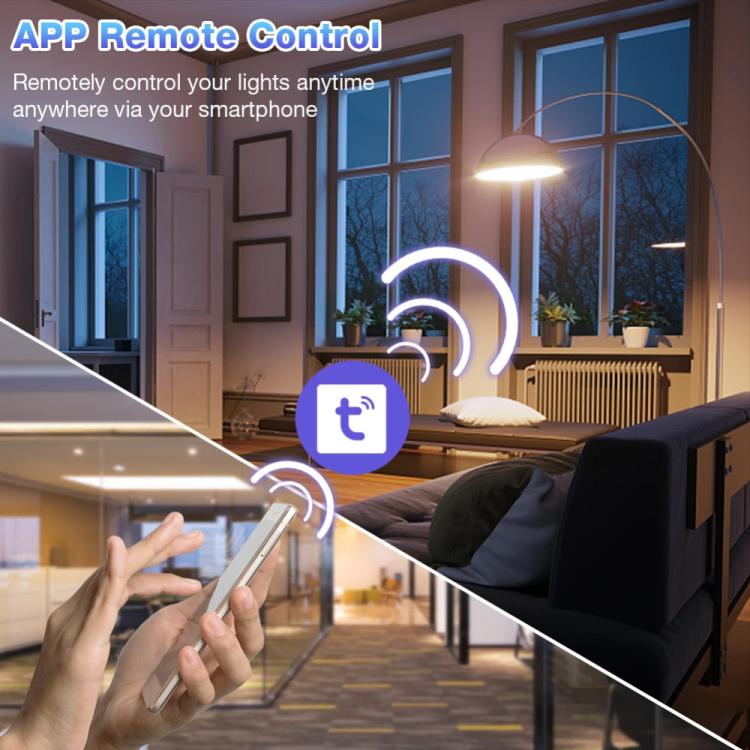 Tuya WiFi Smart Switch supporta il controllo vocale Amazon ALEXA/Google HOME, 10A, 20A, 30A