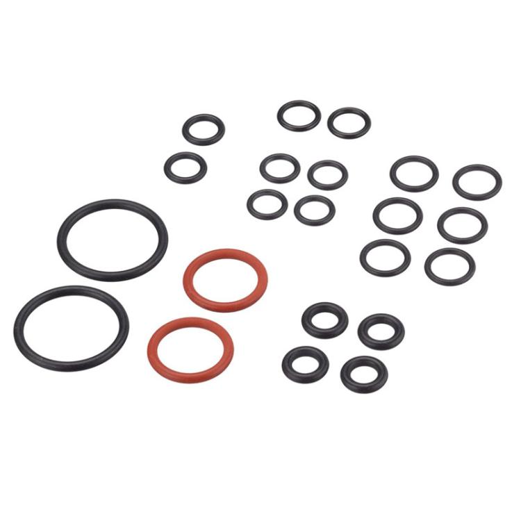 22 pezzi / set per Karcher SC2 / SC3 / SC4 / SC5 / CTK10 / CTK20 anello di tenuta a forma di O per pulitore a vapore
