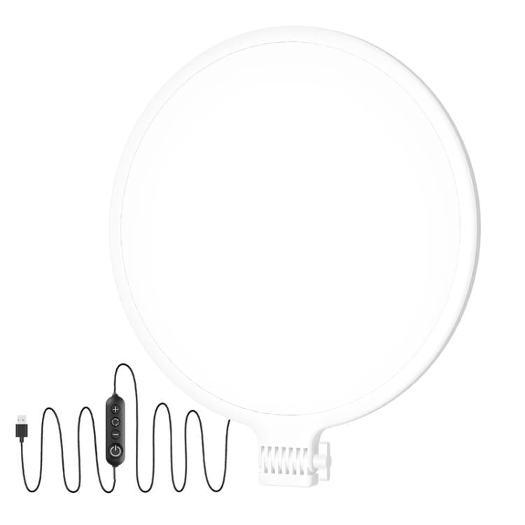 Live Streaming Fill Light LED Photography Lamp Mobile Phone Eye Protection Soft Light Selfie Lamp, 8inch(Black), 10inch(Black), 10inch(White), 12inch(Black)