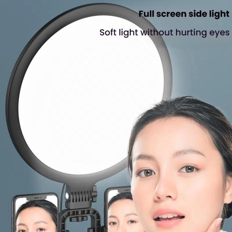 Live Streaming Fill Light LED Photography Lamp Mobile Phone Eye Protection Soft Light Selfie Lamp, 8inch(Black), 10inch(Black), 10inch(White), 12inch(Black)