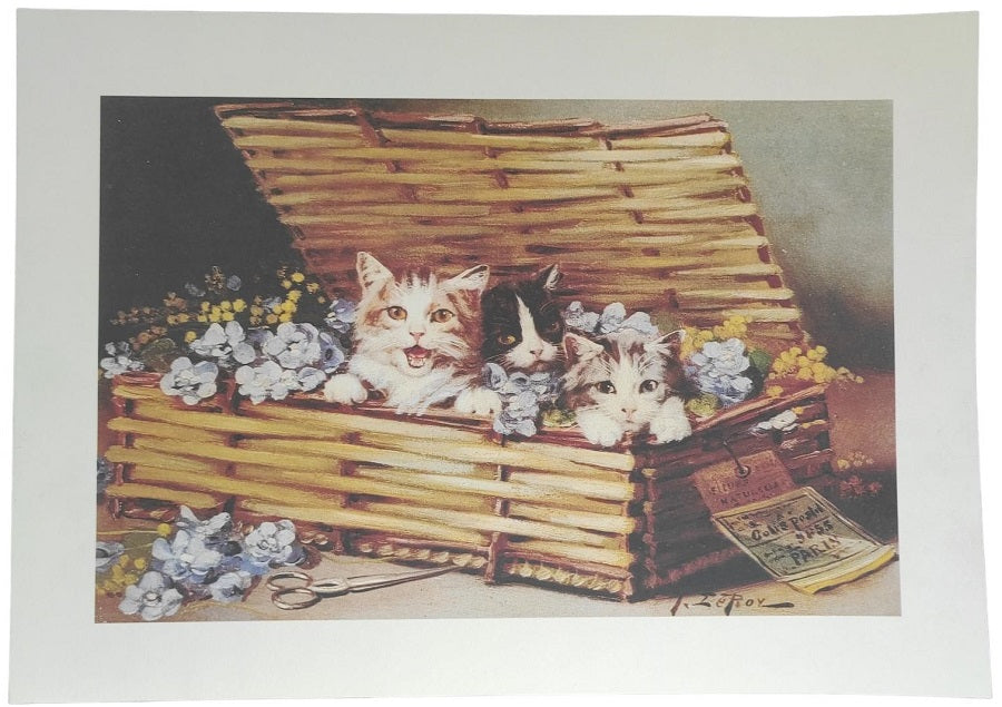 Stampa 35x25cm Gatti dentro cesta con fiori