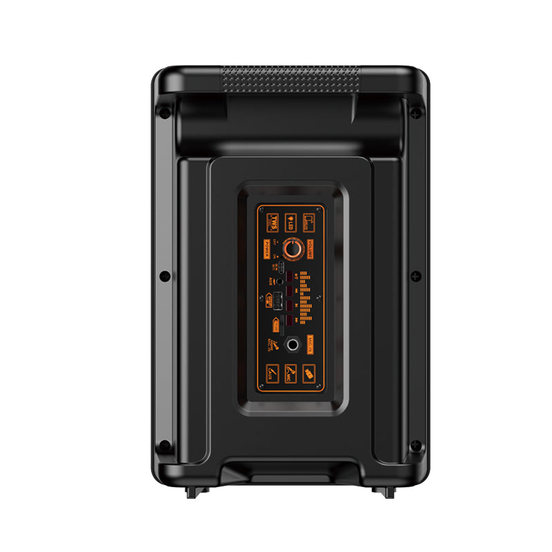 Cassa acustica ricaricabile luci LED wireless 8" 20W USB/FM JD032