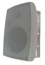 Casse acustiche da parete 60W 8 Ohm 1x6.5” 1x1” bianco SP196