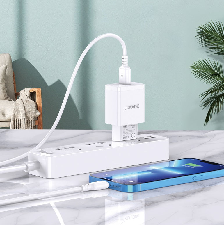Caricabatterie lightning USB 22.5W bianco JB098
