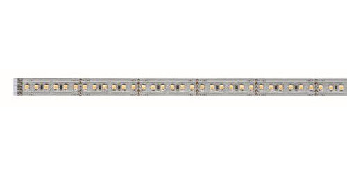 Striscia LED 39x1m 3.12W luce fredda 6000K Paulmann