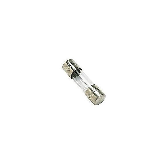 Fusibile ritardato 5x20mm 0.30A 250V - confezione da 10 pezzi