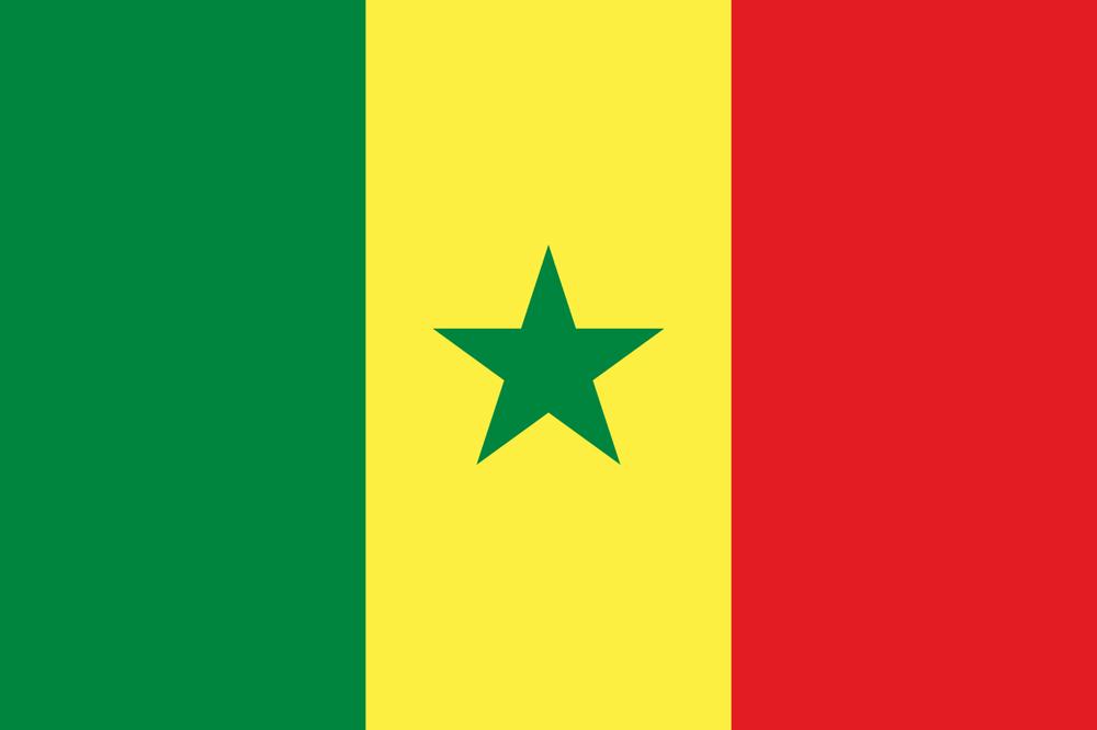 Bandiera di stato Senegal 300x200cm