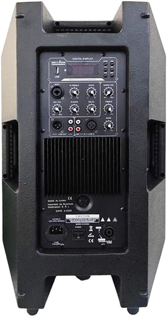 Cassa acustica amplificata 120W 12" Bluetooth/USB/Scheda SD Effetti DSP BK-122