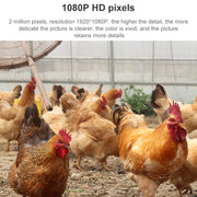 QX5 4G (versione USA) 2,0 milioni di pixel 1080P HD 20X Zoom Dome Smart Camera, supporto visione notturna a infrarossi/rilevamento movimento/interfono vocale/scheda TF, presa americana, 4G US Version