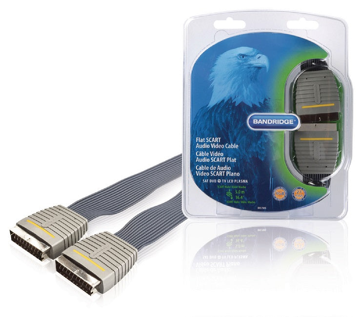 Cavo video SCART Maschio- Maschio 5.00 m Blu