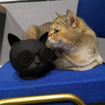 Altoparlante Bluetooth Mini Gatto T8 5W con vivavoce