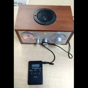 HRD-101 Portable Mini DAB+FM Digital Radio with Lanyard and Earphone
