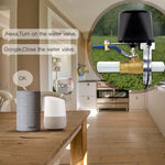 Interruttore valvola gas acqua intelligente WiFi 12V