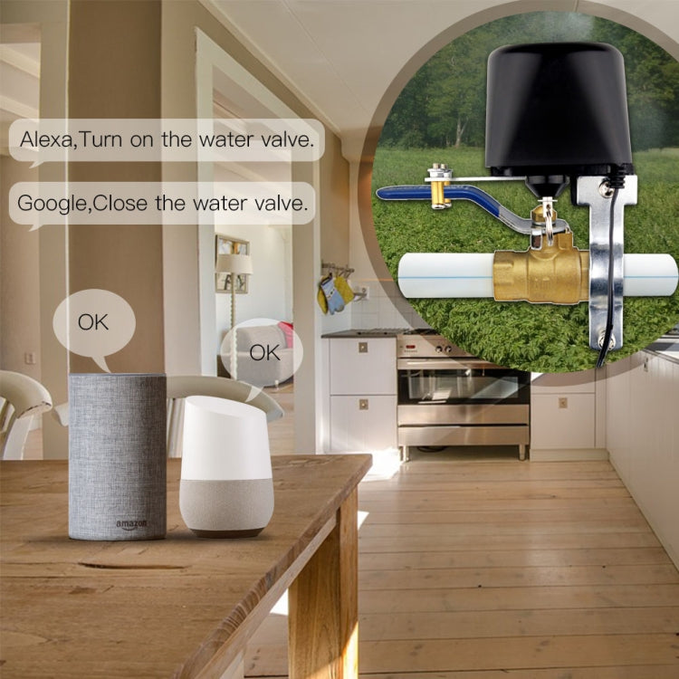 Interruttore valvola gas acqua intelligente WiFi 12V