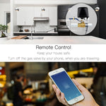Interruttore valvola gas acqua intelligente WiFi 12V