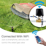 Interruttore valvola gas acqua intelligente WiFi 12V