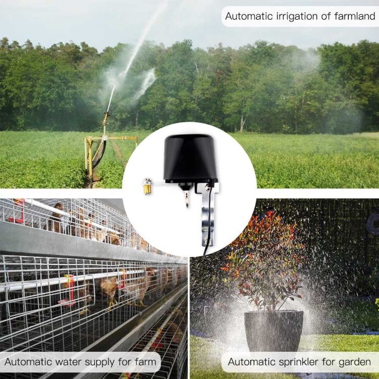 Interruttore valvola gas acqua intelligente WiFi 12V