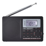 Ricevitore radio stereo multifunzionale CS-106 10KHZ
