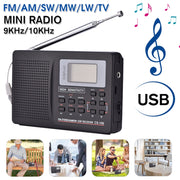 Ricevitore radio stereo multifunzionale CS-106 10KHZ