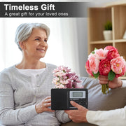 CS-106 Multifunctional Stereo Radio Receiver with 10KHZ Full Band Digital Demodulation, 10KHZ