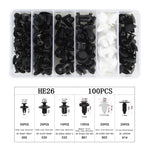 100 in 1 set di clip per rivetti di fissaggio in plastica per auto universali, 100 PCS