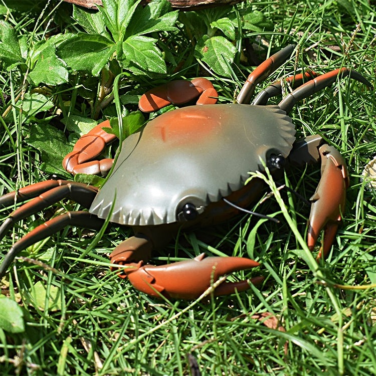 9995 Sensore a infrarossi Telecomando simulato Granchio Modello giocattolo elettrico complicato per bambini creativi, Crab(Green), Crab(Yellow)